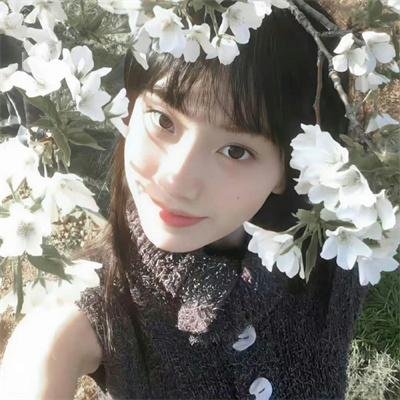 真田风云录