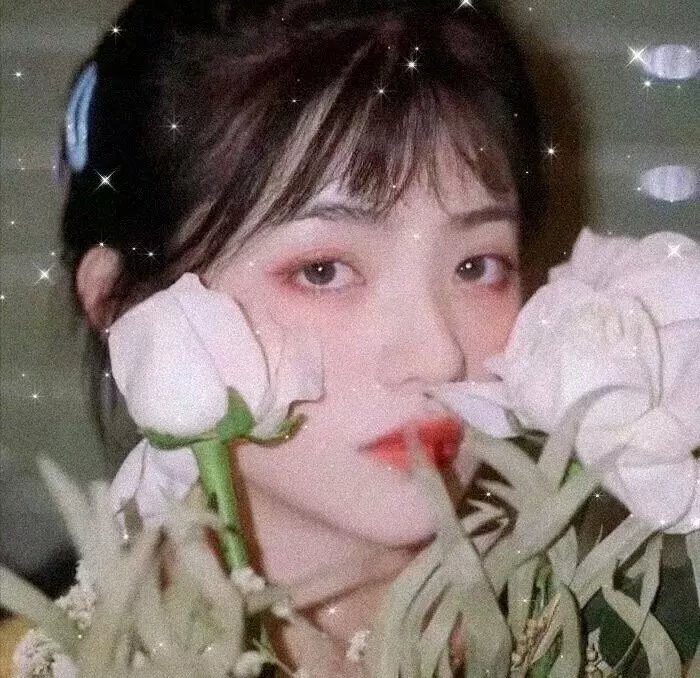 星蝶公主第一季